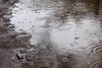 雨の中ランニングへ