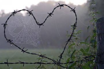 力石は塀の外へ